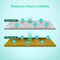 Infographic of the 2-Stage Whole House Filtration System - 20" Heavy Metals: Stage 1 sediment filter removes dust, rust, silt, sand, and dirt; Stage 2 GAC+KDF filter tackles lead, mercury, chlorine, hydrogen sulfide, herbicides, and pesticides.