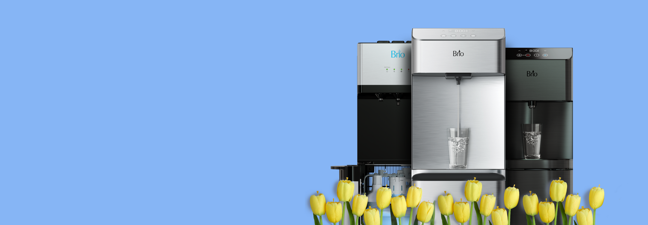 Three Water Coolers Display with Yellow Flowers in Foreground