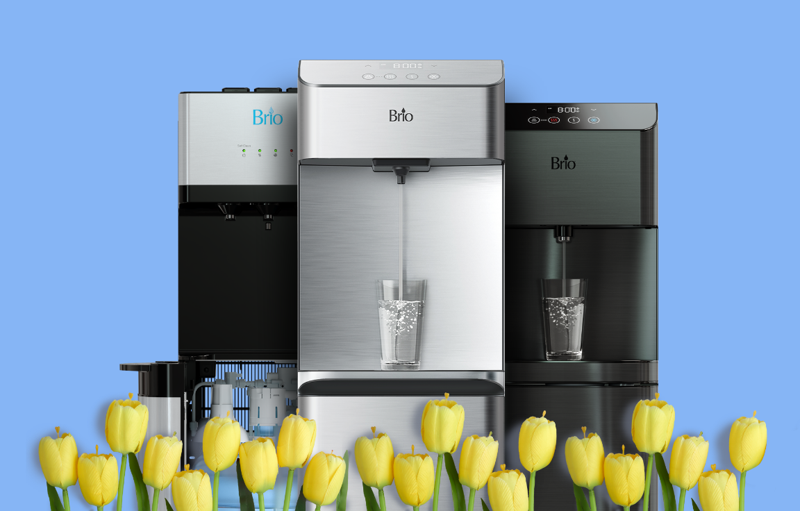 Three Water Coolers Display with Yellow Flowers in Foreground