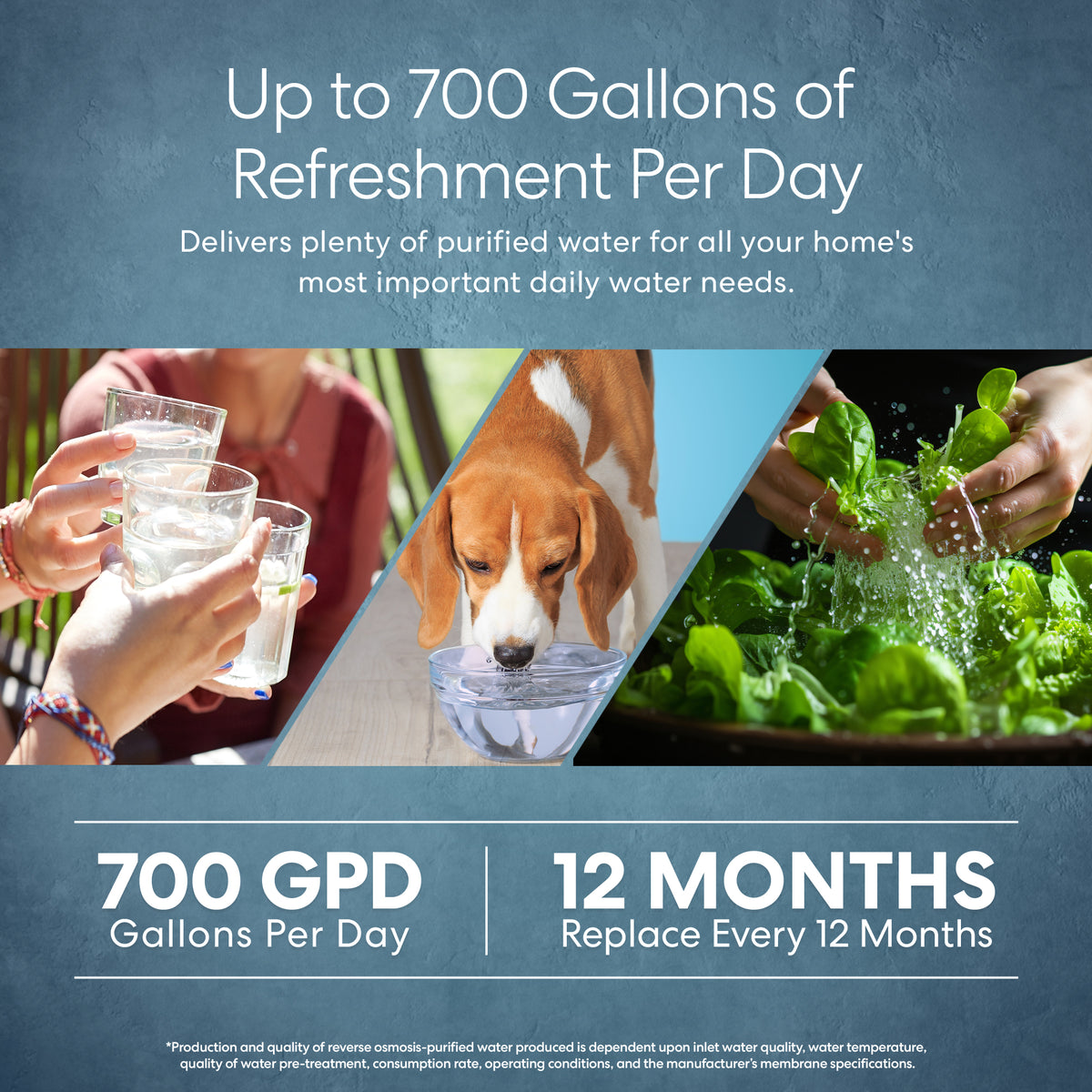 A collage shows people enjoying purified water, a dog drinking, and hands washing lettuce, with text: “Up to 700 Gallons/Day. DuPont TapTec Reverse Osmosis Membrane 700 GPD. Replace Every 12 Months.”.