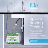 Brio PURE Balance 6-Stage RO Undersink Filtration System