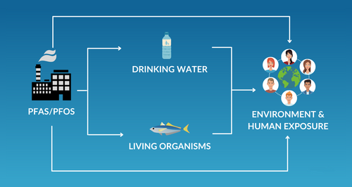 A Team of Scientists Discovered the Best Way to Keep PFAS Out of Drinking Water