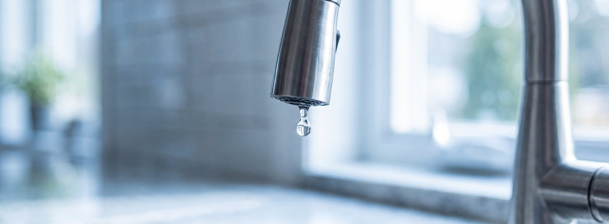 Does Reverse Osmosis Remove PFAS? (Beyond PFAS Series)