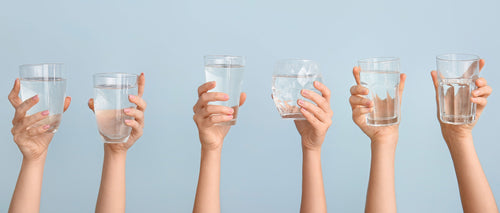 Home Water Purifiers vs. Water Filters: What’s the Difference?