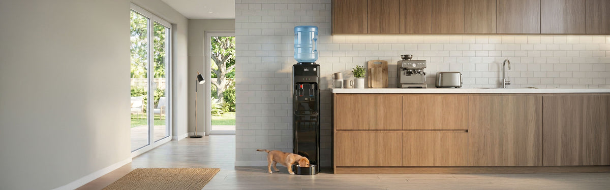 Puppy drinking from the built-in pet bowl of a Brio bottom-load water cooler in a kitchen