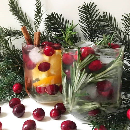 Water for Wellness - Holiday Infused Water