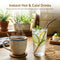 A steaming mug brewed with the 4-Stage Reverse Osmosis Coffee Maker & Bottleless Water Cooler Dispenser - Moderna 730 and a glass of iced water—filtered through its advanced reverse osmosis system and infused with cucumber and mint—sit on a wooden table, surrounded by plants and kitchen items in the background.