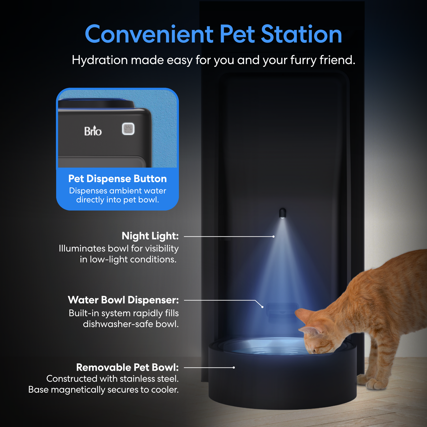A ginger cat drinks from the Brio Top Load Water Cooler & Dispenser with Built-In Pet Station, featuring a pet dispense button, blue night light, removable stainless steel bowl, and convenient top load design.