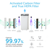 Lago True HEPA & Activated Carbon Filter - LAPKJ500GTB32