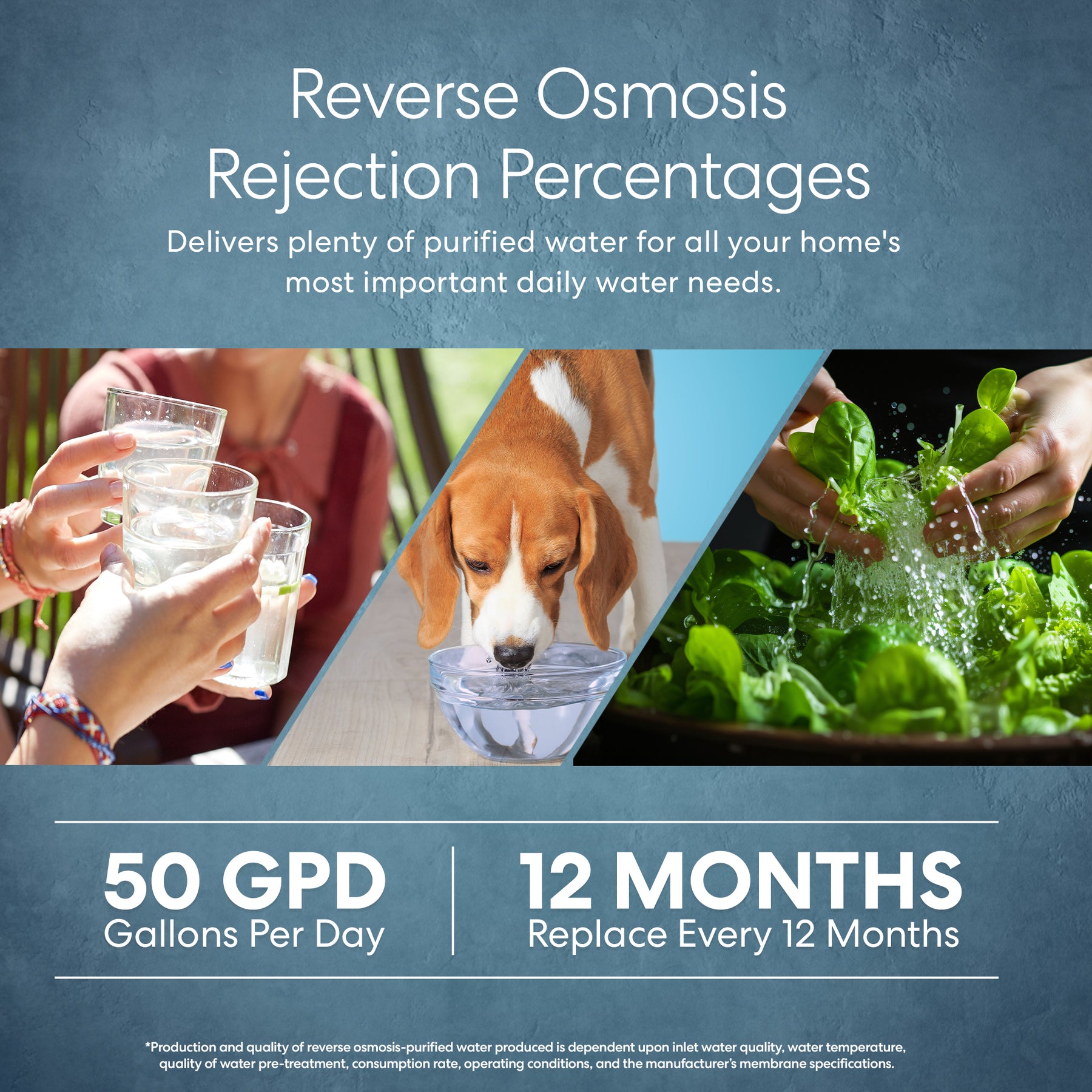 Split-image of pure water being served, a dog drinking, and hands washing lettuce with Brio Reverse Osmosis Membrane 50 GPD, which removes dissolved solids. Replace membrane every 12 months for optimal performance.