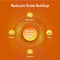 Infographic titled Reduces Scale Buildup features a central circle labeled Single Stage Whole House Filtration System - 10" Anti-Scale, linked to magnesium, calcium, scale, and corrosion icons on an orange background—showing hard water treatment with this anti-scale filter.