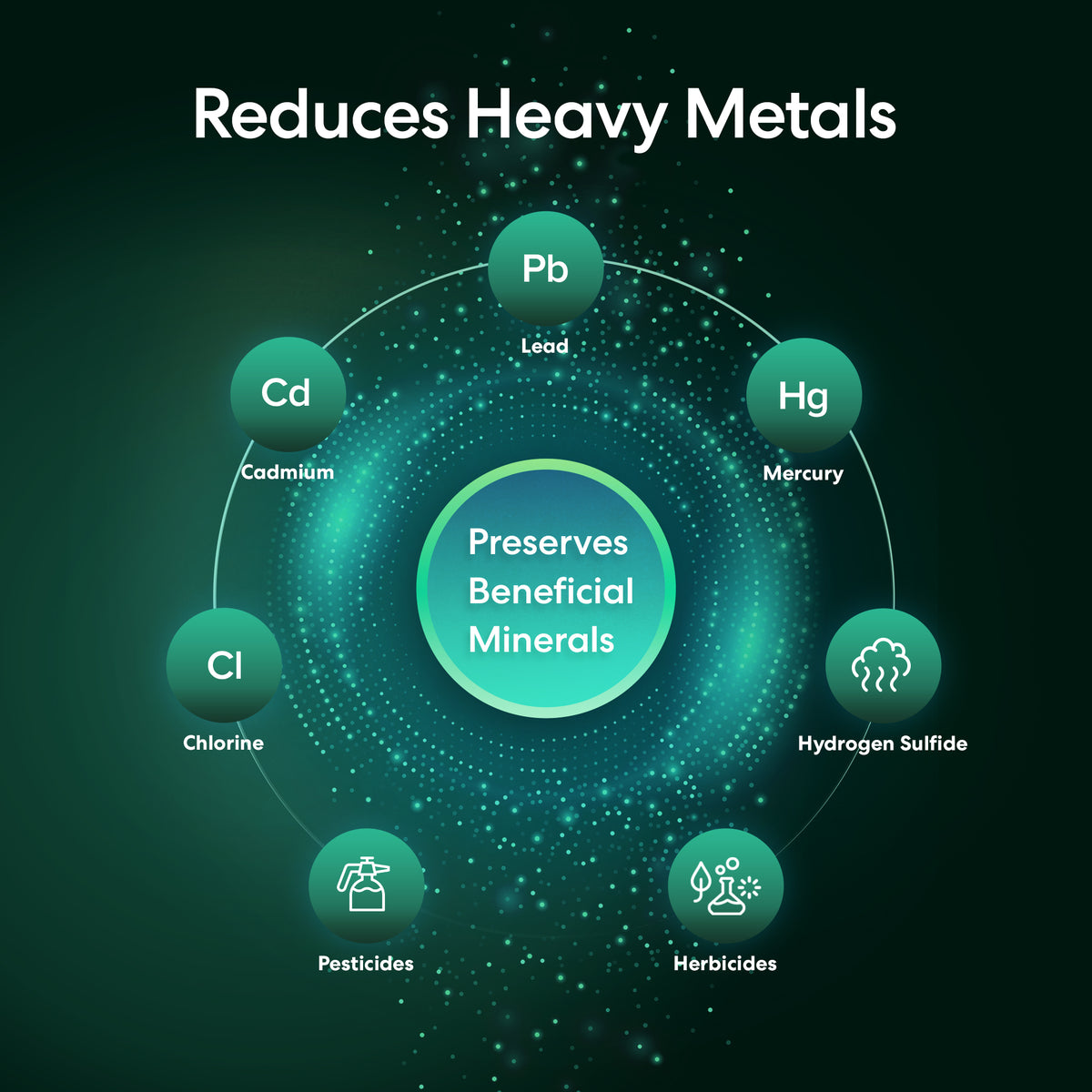 Infographic for Single Stage Whole House Filtration System - 20" Heavy Metals shows a central circle, Preserves Beneficial Minerals, surrounded by icons for lead, mercury, cadmium, chlorine, hydrogen sulfide, pesticides, and herbicides.