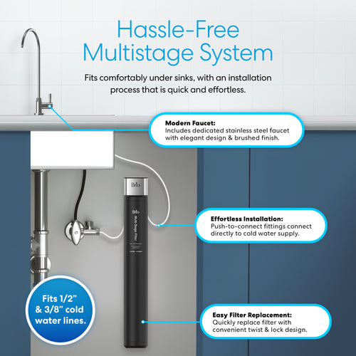 Brio 22" Single Housing Undersink Water Filtration System with Faucet