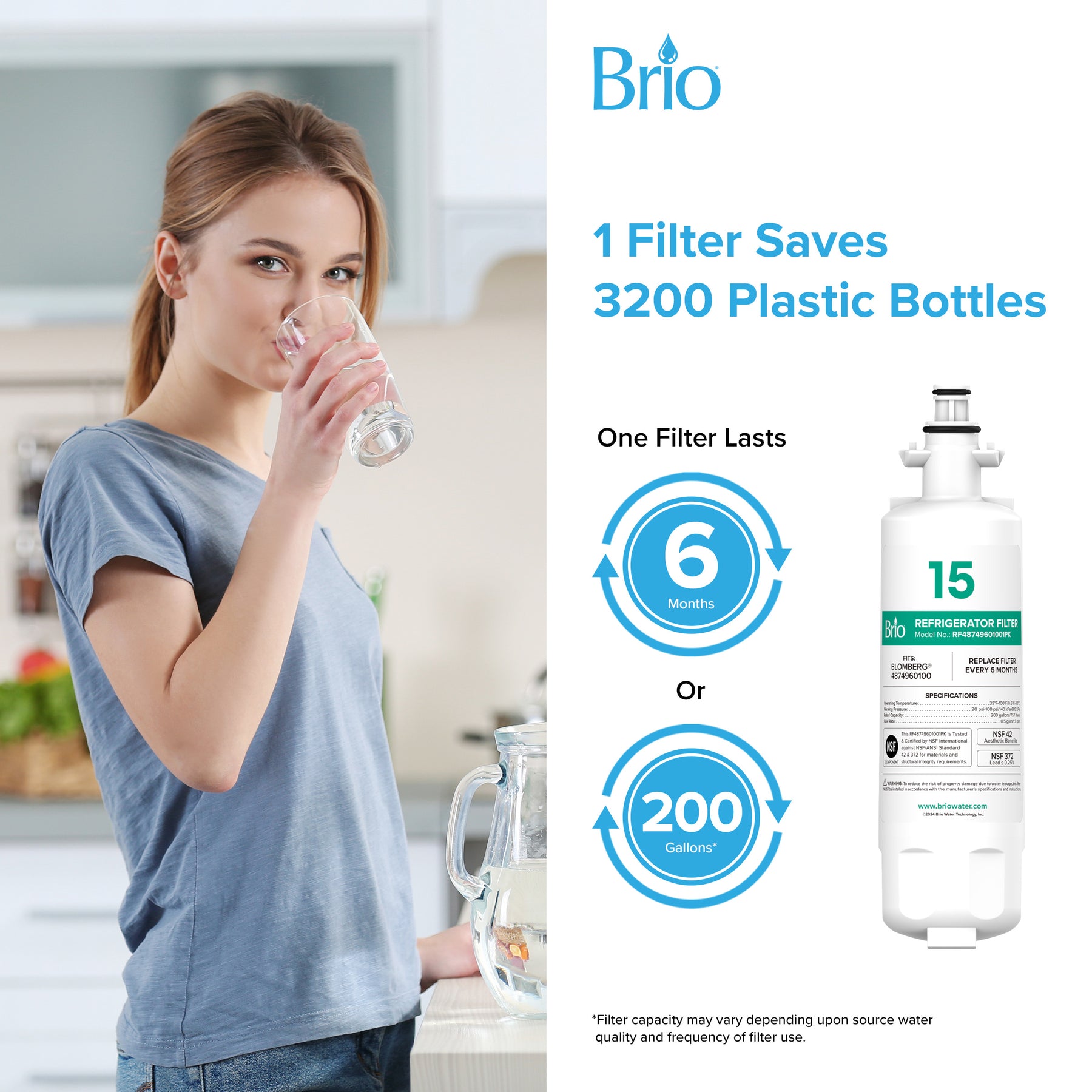 Brio Refrigerator Filter – Blomberg® 4874960100, Grundig® 487960000, 1 Pack