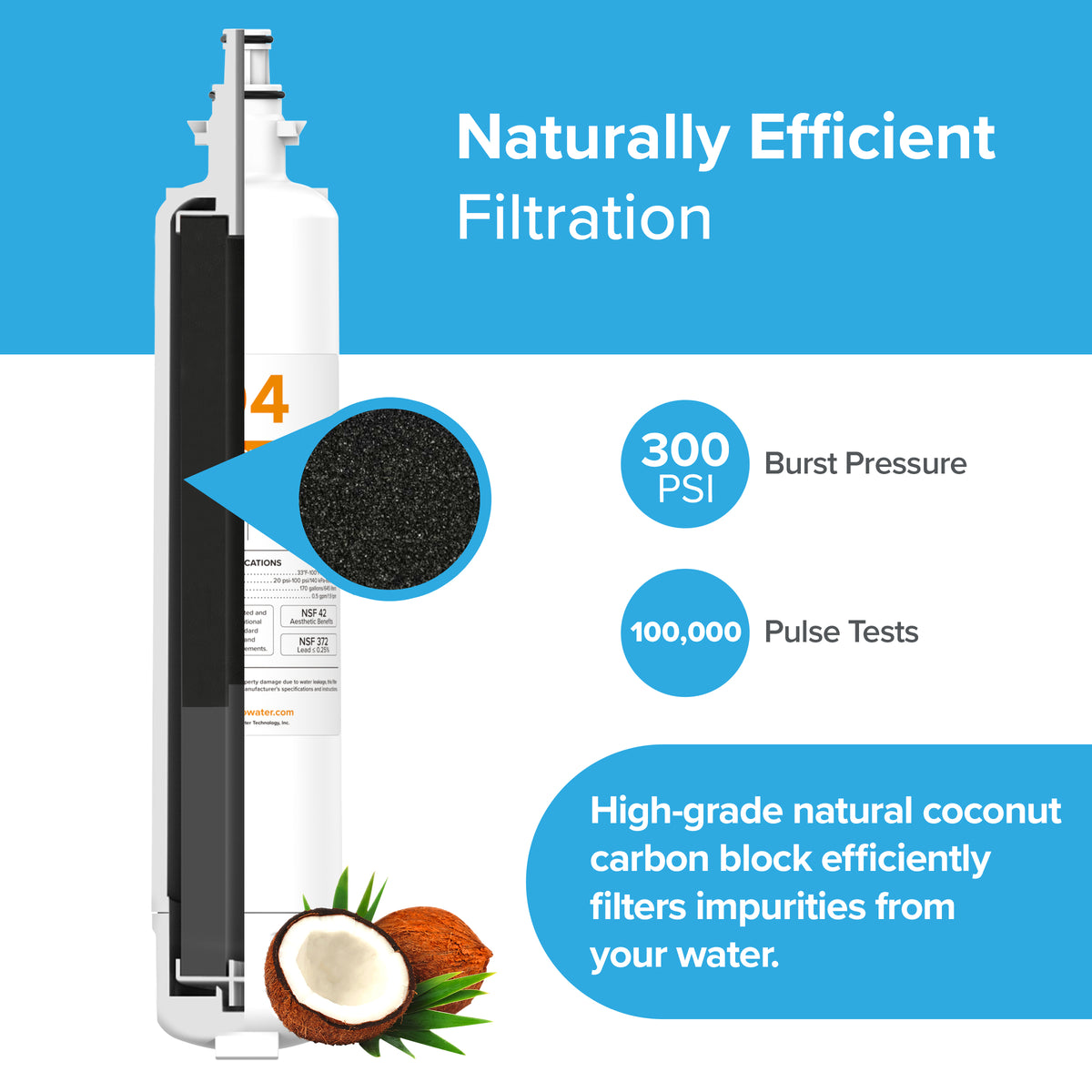 Diagram of the 6019A Refrigerator Filter (GE RPWF compatible) showing a close-up carbon block, coconut imagery, and text noting Naturally Efficient Filtration, NSF certification, 300 PSI burst pressure, and 100,000 pulse tests.