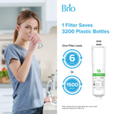 Brio Replacement Refrigerator Filter for 3M™ Cuno CS-52, 1 Pack