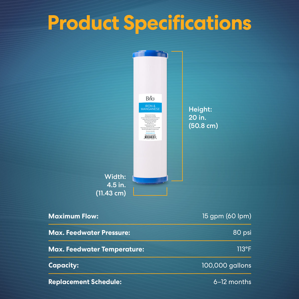 A Whole House 20" Iron & Manganese Filter cartridge, white and blue with a label, is centered on a blue background. Surrounding text details its dimensions, flow rate, pressure, temperature range, capacity, and replacement schedule.