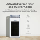 Lago True HEPA & Activated Carbon Filter (2-Count) - LAPKJ500GTB32