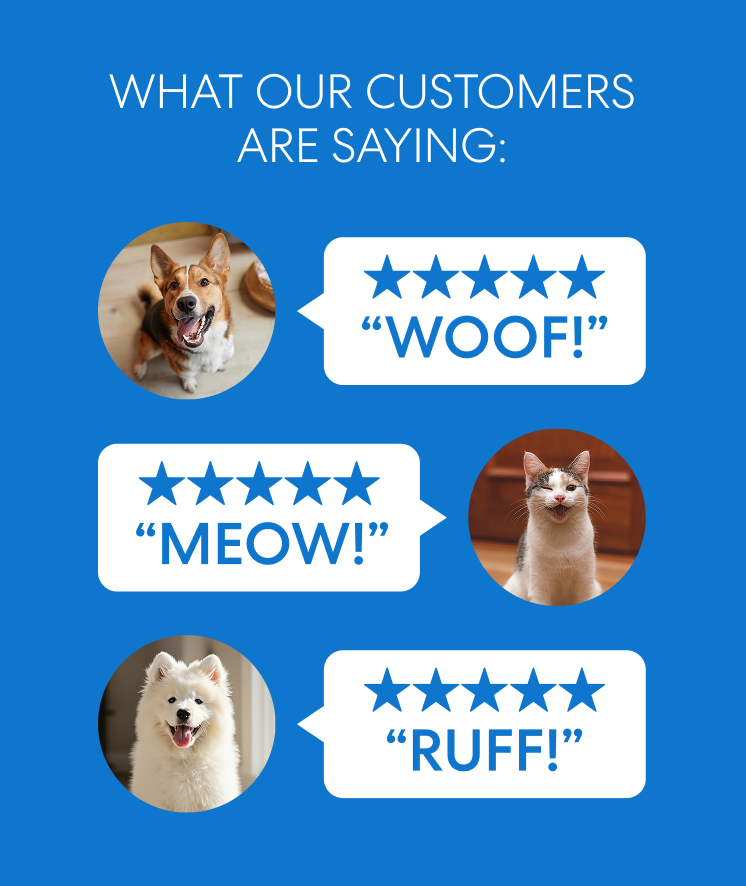 See What Our Customers Are Saying