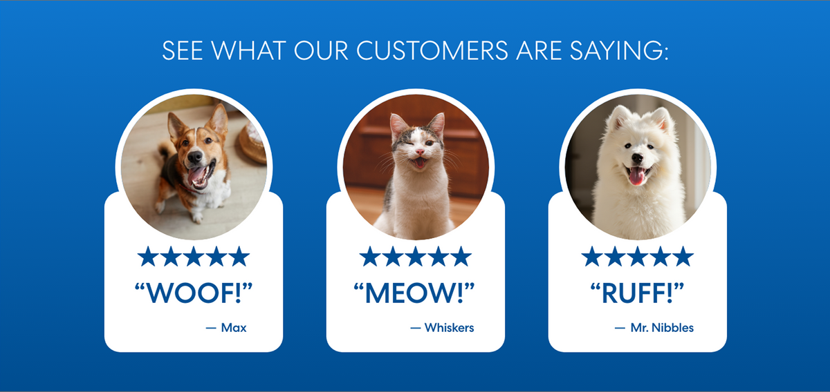 See What Our Customers Are Saying