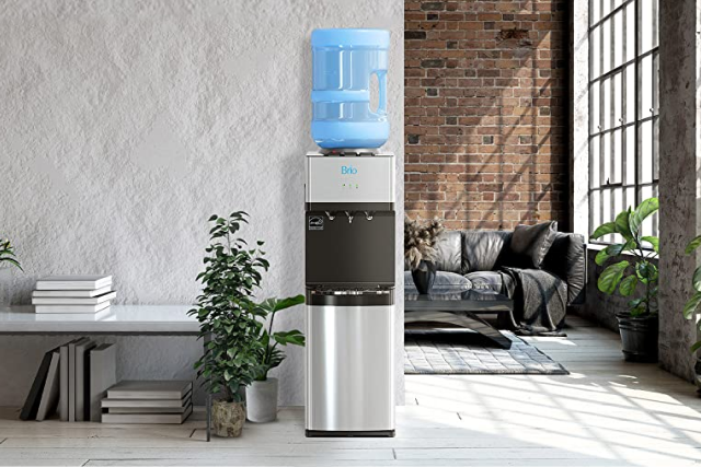 A water cooler with a large blue water bottle stands by a white wall in a modern, sunlit living room with plants, a couch, and large windows.