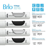 Brio 500 Series 4-Stage Reverse Osmosis Bottleless Water Cooler Stainless