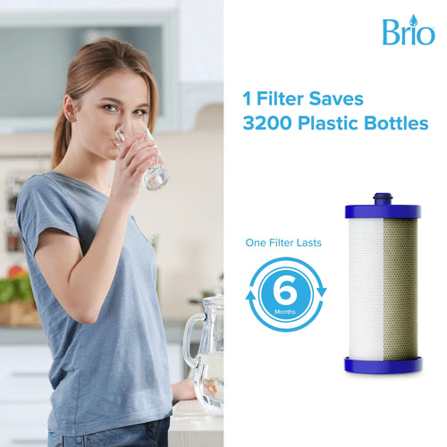 Brio WF1CB Refrigerator Filter –  Compatible with Frigidaire PureSource WF1CB, WFCB, NGRG2000, WF284, Kenmore 9910