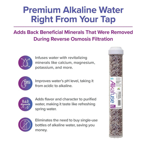 Brio Alkafuse Drop-In Alkaline Filter, 50,000 L, 2.5" X 20"