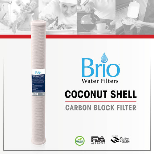 Brio Legacy Filtro de bloque de carbón de cáscara de coco de 5 micras, 2,5" x 20"
