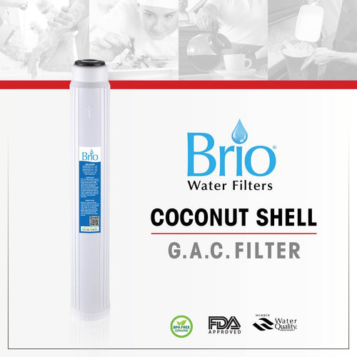 Brio Signature GAC Filter for Commercial RO System, 2.5" X 20"